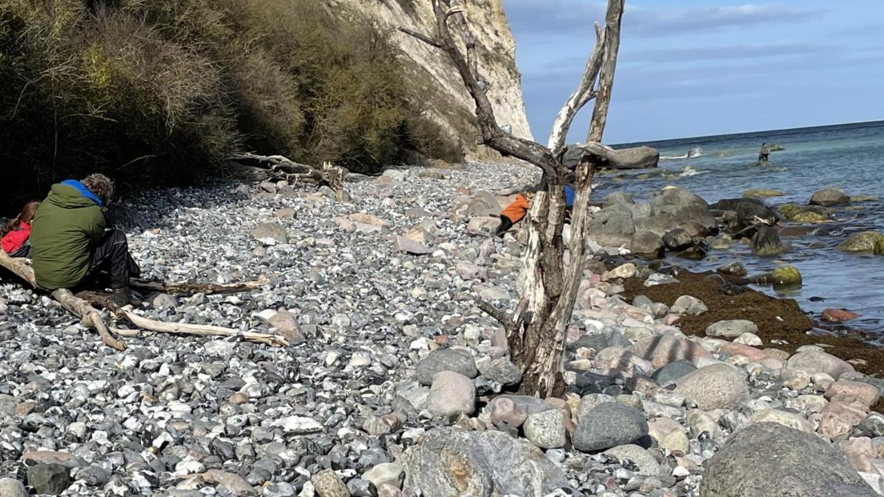 Mare Balticum Urlaub Auf Rugen Lejlighedshotel Sagard Eksteriør billede